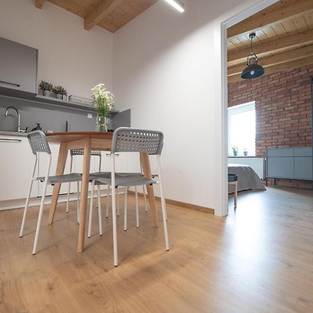 Apartamenty Mlynska 5 Bílsko-Bělá Exteriér fotografie