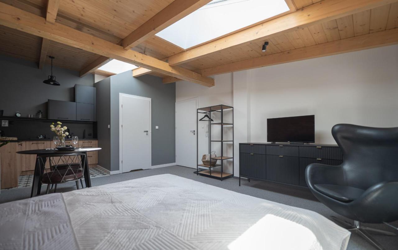 Apartamenty Mlynska 5 Bílsko-Bělá Exteriér fotografie