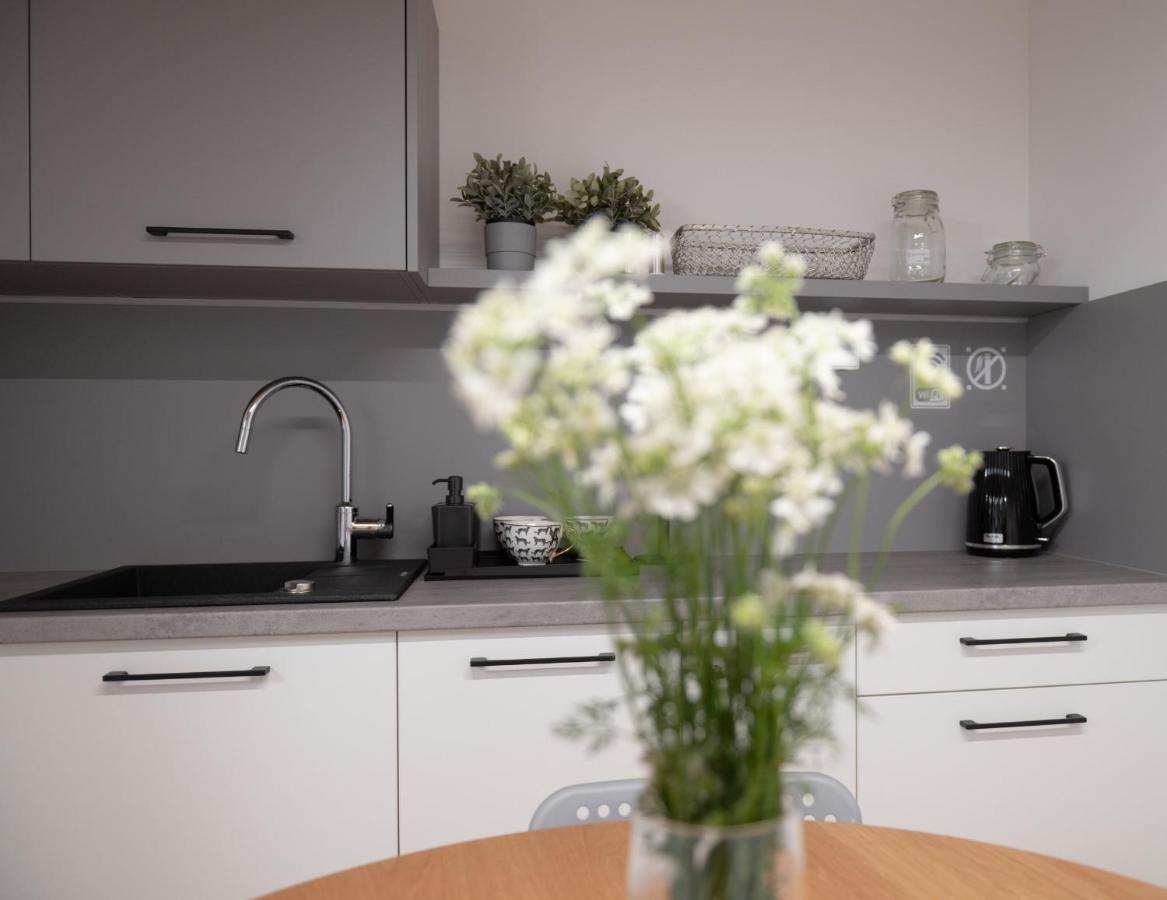 Apartamenty Mlynska 5 Bílsko-Bělá Exteriér fotografie
