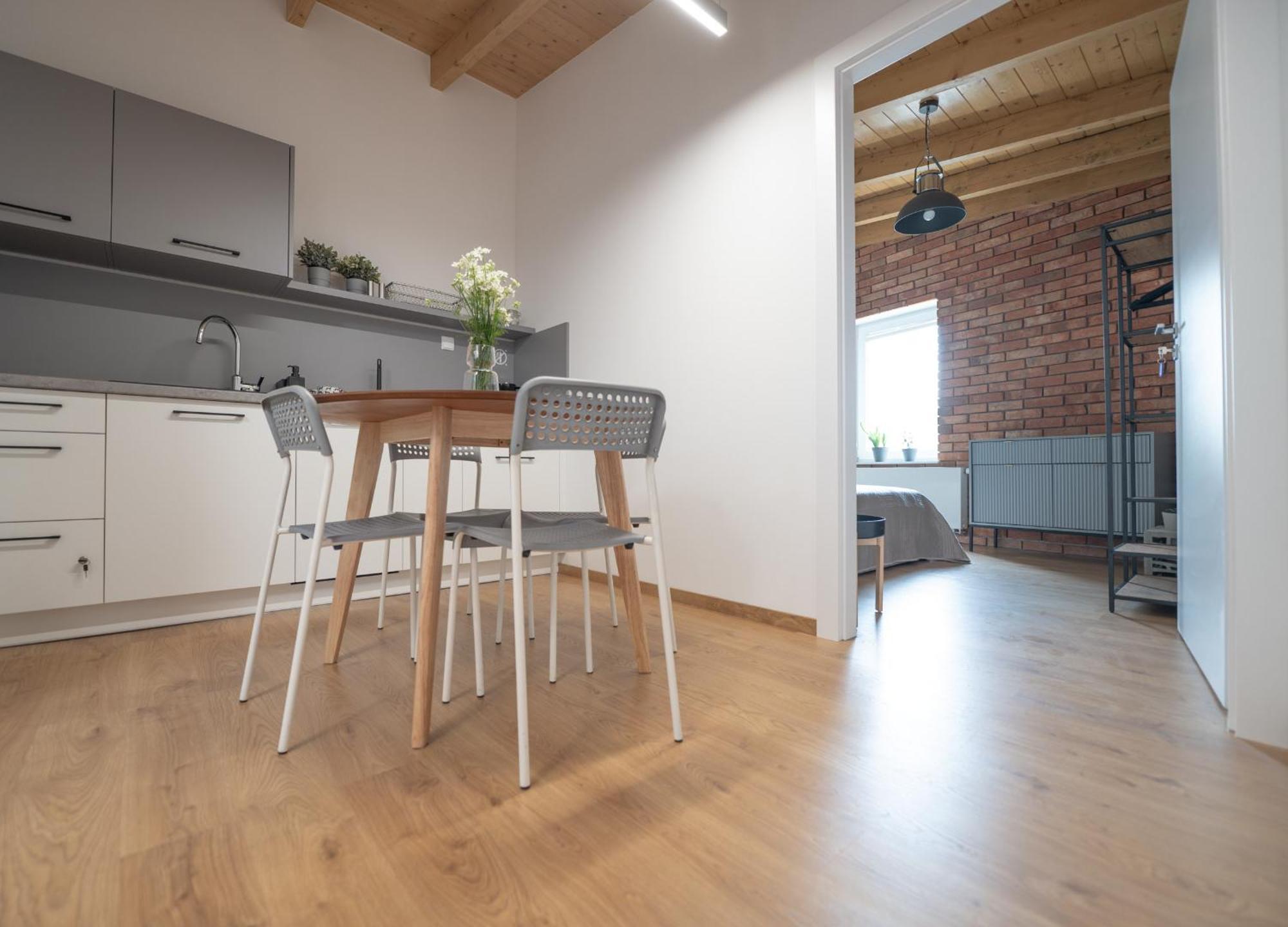 Apartamenty Mlynska 5 Bílsko-Bělá Exteriér fotografie