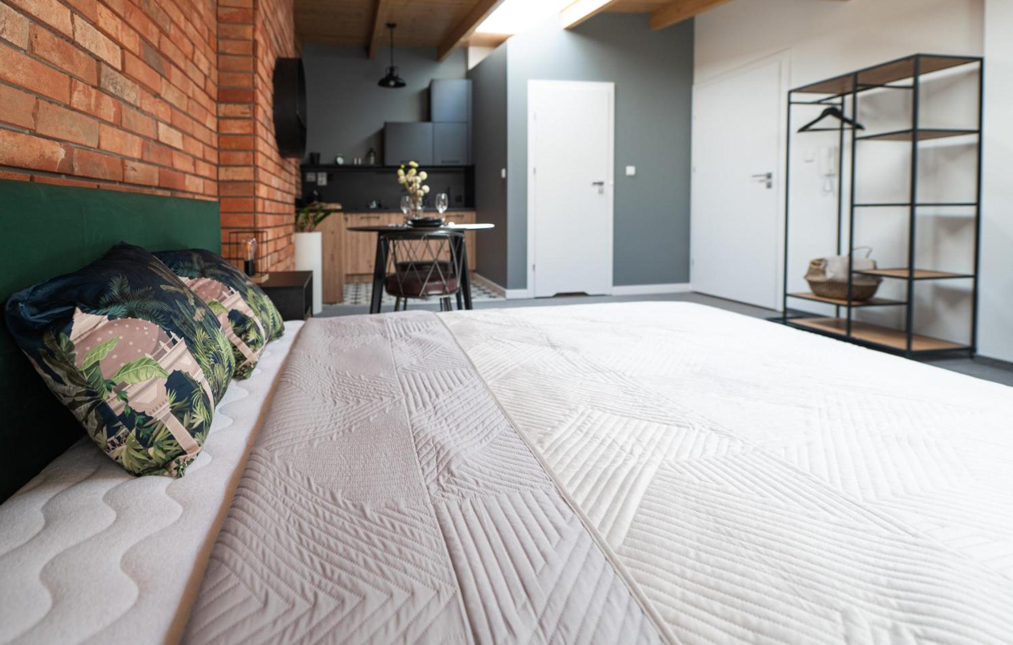 Apartamenty Mlynska 5 Bílsko-Bělá Exteriér fotografie