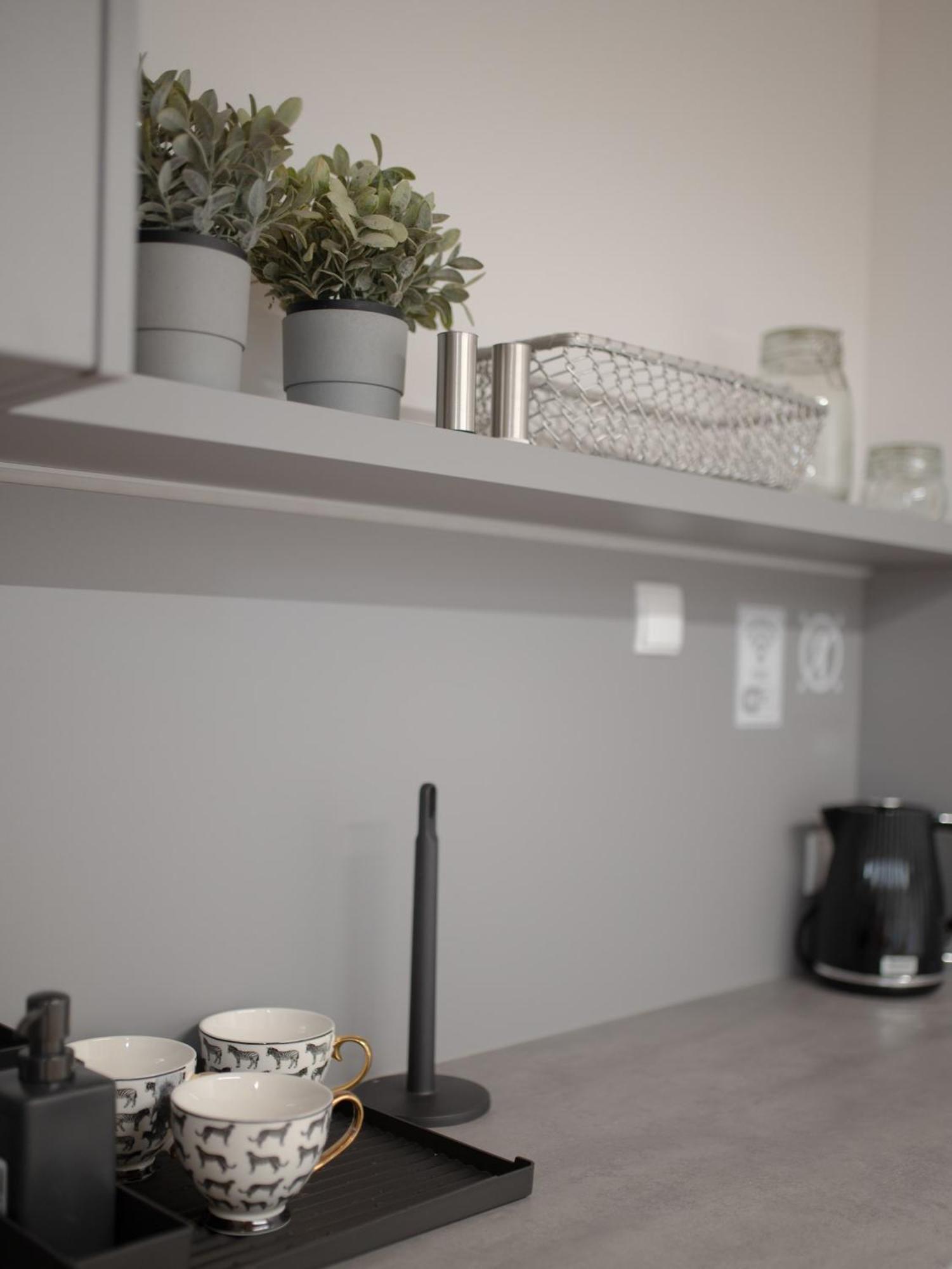 Apartamenty Mlynska 5 Bílsko-Bělá Exteriér fotografie